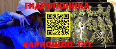 МДПВ Анжеро-Судженск