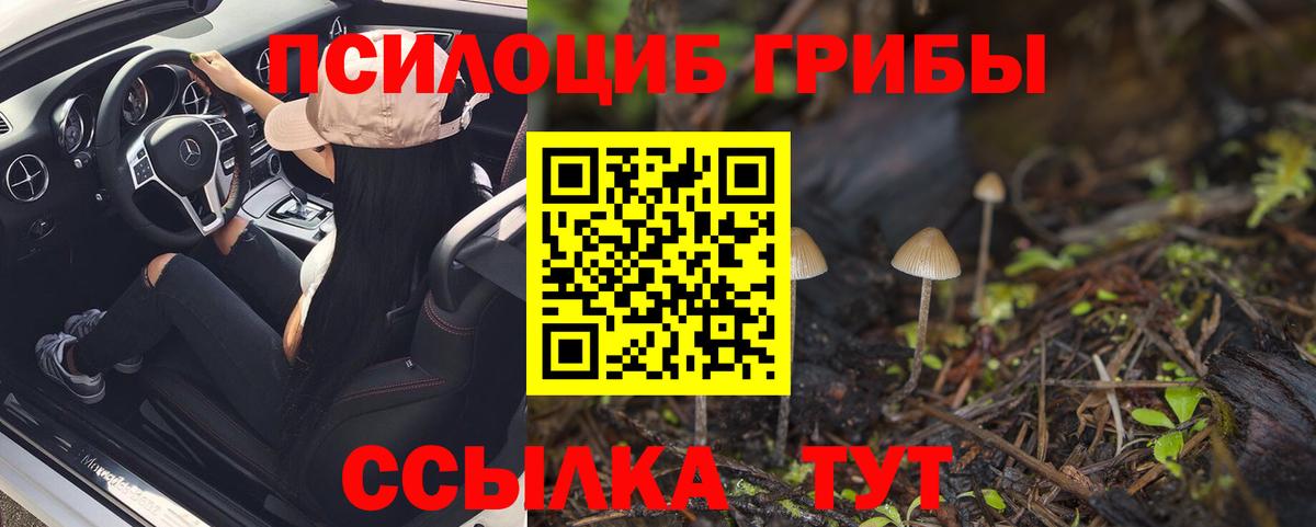 Псилоцибиновые грибы мицелий Белгород
