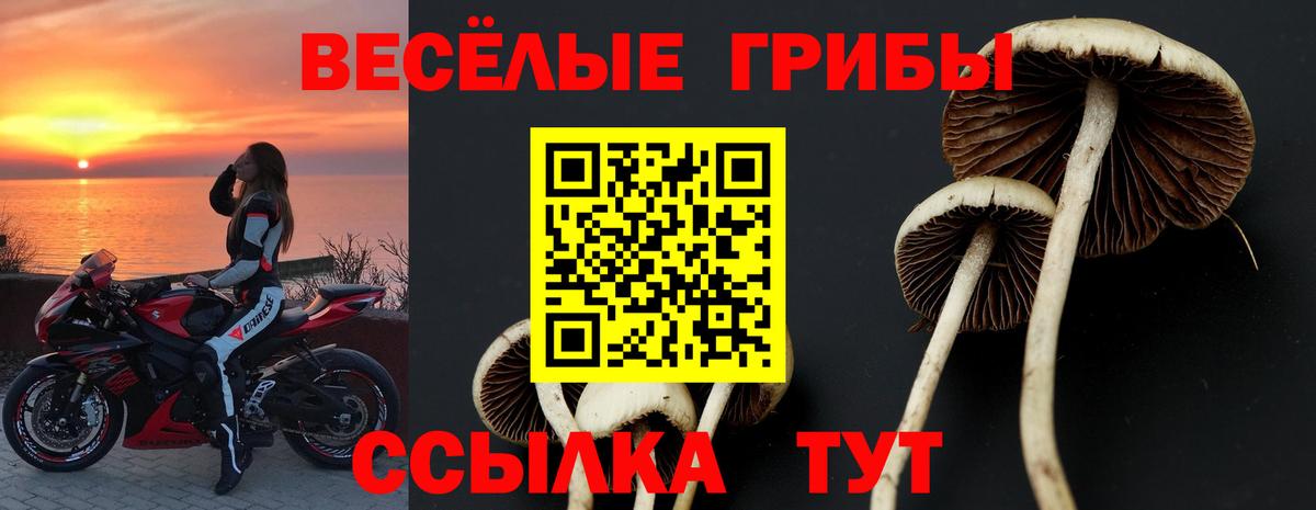 Галлюциногенные грибы мицелий  Вход с VPN  Белгород  Галлюциногенные грибы Cubensis 